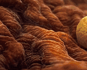 f1320e08f3c95781b4289cf10a6c4f61.gif