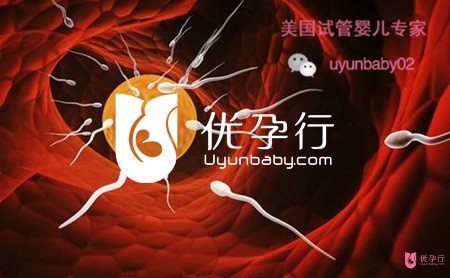 timg_副本D.jpg