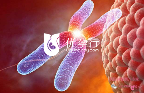 美国试管婴儿