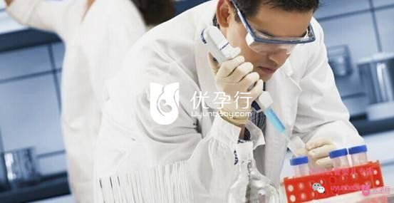 美国试管婴儿