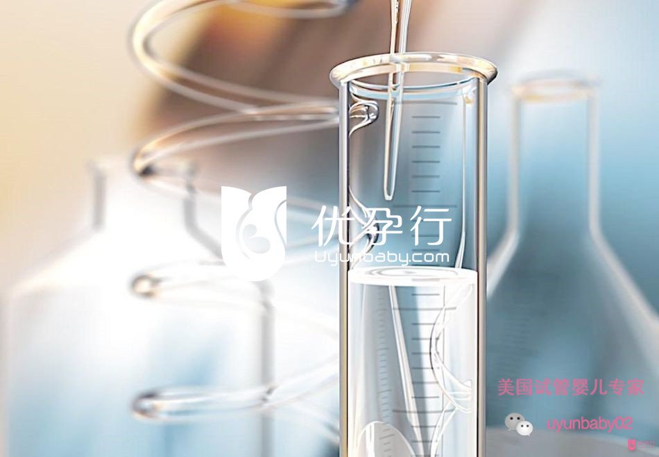 美国试管婴儿