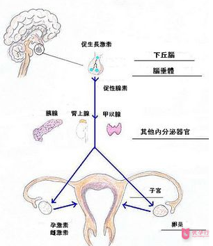 QQ图片20171205154633.png