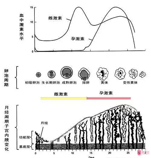 QQ图片20171214134511.png