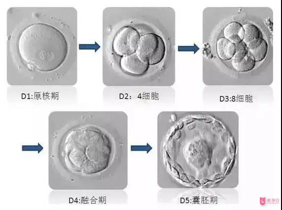 图片_20180119152843.jpg