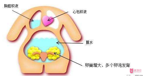 QQ图片20180224165445.png
