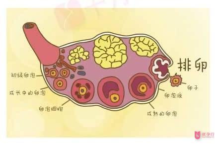 下载 (1).jpg