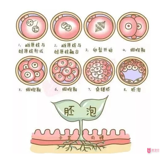 QQ图片20180329141907.png