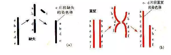 QQ图片20180605134202.png