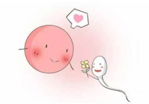 没有月经哪里可以做试管婴儿