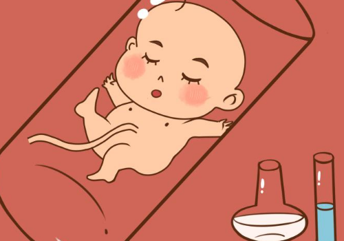 俄罗斯的试管婴儿的助孕原理是什么