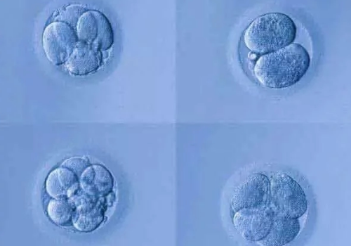 养蛙不如养娃!试管婴儿让不孕家庭早当妈