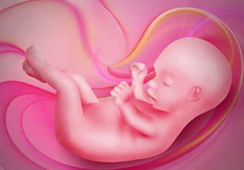 男性精子质量不佳做试管婴儿需要多少钱