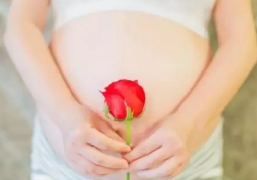 试管婴儿成功有三靠：一靠胚胎、二靠母体、三