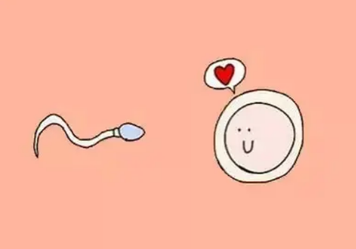 什么是试管婴儿冻胚移植