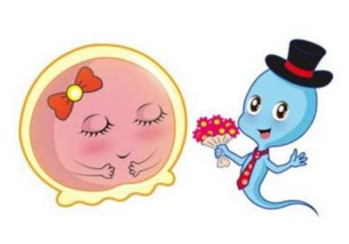 内分泌紊乱影响试管助孕成功率吗