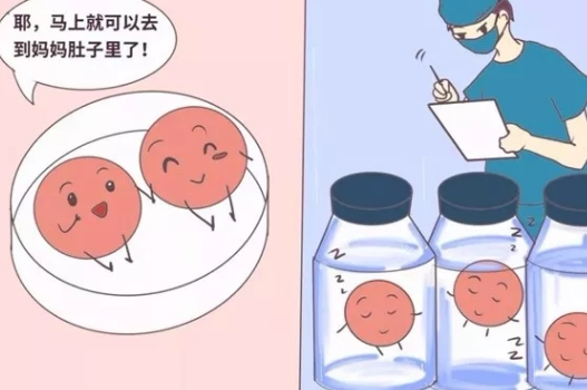 促排卵会使女性提前的衰老吗