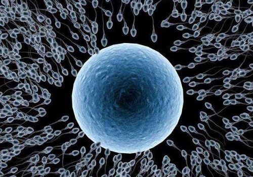 2022较新泰国试管婴儿费用明细如何