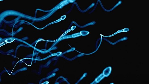 俄罗斯第三代试管婴儿如何实现优生优育