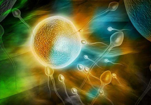 2022年较新美国试管婴儿医院的排名情况