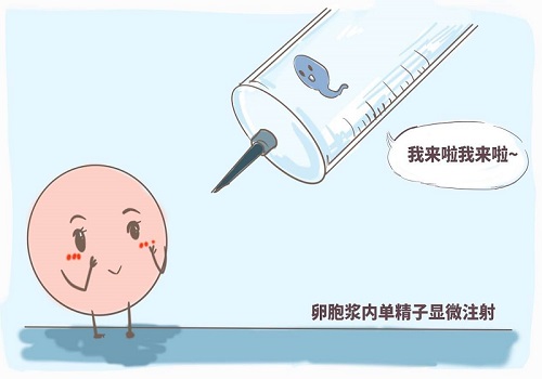 在俄罗斯做试管婴儿要多少钱?