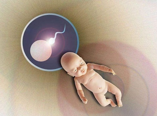 俄罗斯试管婴儿机构成功率?及操作方法!