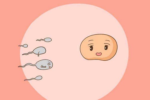 泰国试管婴儿医院成功率高不高?费用怎么样?