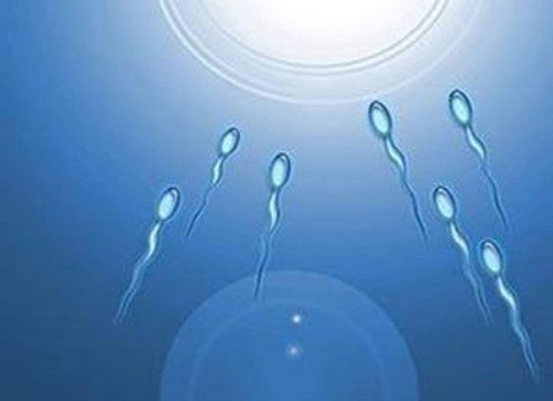俄罗斯试管婴儿哪家好?医院排名更新!